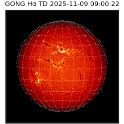 gong - 2025-11-09T09:00:22