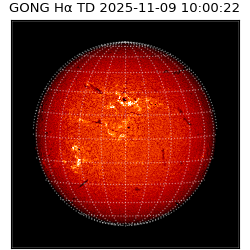 gong - 2025-11-09T10:00:22
