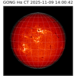 gong - 2025-11-09T14:00:42