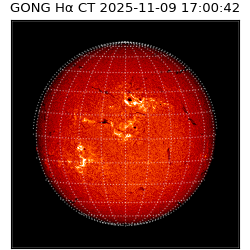 gong - 2025-11-09T17:00:42