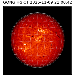 gong - 2025-11-09T21:00:42
