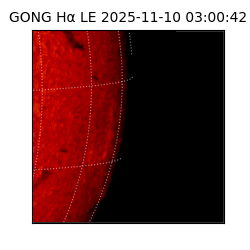 gong - 2025-11-10T03:00:42