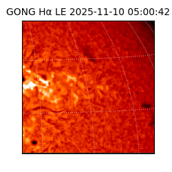 gong - 2025-11-10T05:00:42