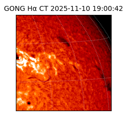 gong - 2025-11-10T19:00:42