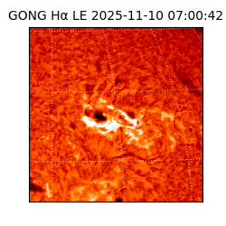 gong - 2025-11-10T07:00:42