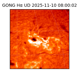 gong - 2025-11-10T08:00:02