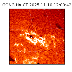 gong - 2025-11-10T12:00:42