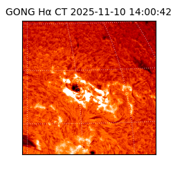 gong - 2025-11-10T14:00:42