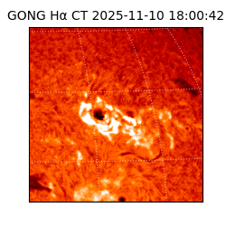 gong - 2025-11-10T18:00:42