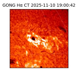 gong - 2025-11-10T19:00:42