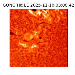 gong - 2025-11-10T03:00:42