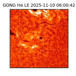 gong - 2025-11-10T06:00:42