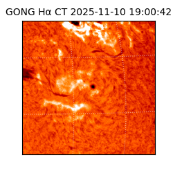 gong - 2025-11-10T19:00:42