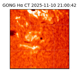 gong - 2025-11-10T21:00:42