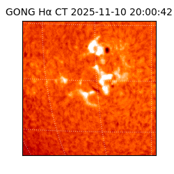 gong - 2025-11-10T20:00:42