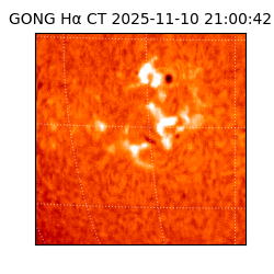 gong - 2025-11-10T21:00:42