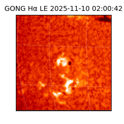 gong - 2025-11-10T02:00:42