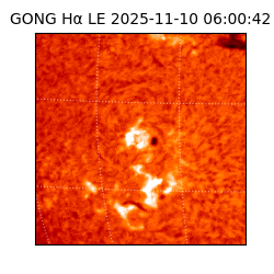 gong - 2025-11-10T06:00:42