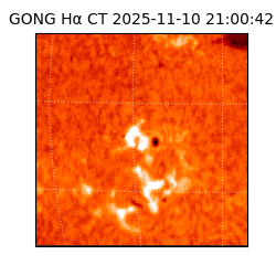 gong - 2025-11-10T21:00:42