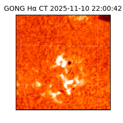 gong - 2025-11-10T22:00:42