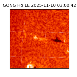 gong - 2025-11-10T03:00:42