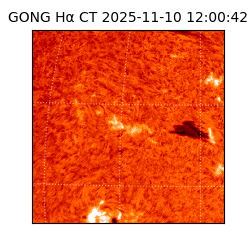 gong - 2025-11-10T12:00:42