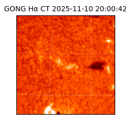 gong - 2025-11-10T20:00:42