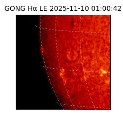 gong - 2025-11-10T01:00:42