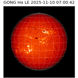 gong - 2025-11-10T07:00:42