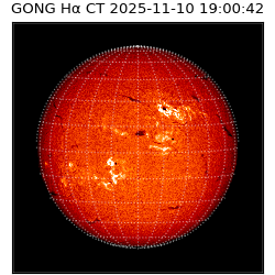 gong - 2025-11-10T19:00:42