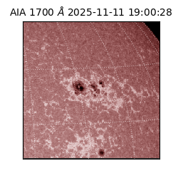 saia - 2025-11-11T19:00:28.721000