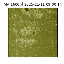 saia - 2025-11-11T09:00:14.133000