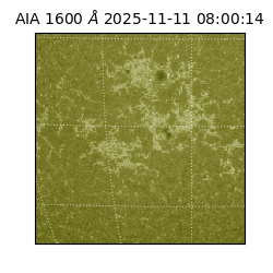 saia - 2025-11-11T08:00:14.118000