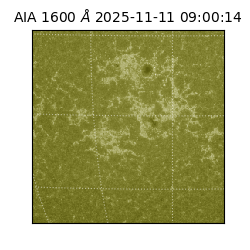 saia - 2025-11-11T09:00:14.133000