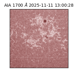 saia - 2025-11-11T13:00:28.720000