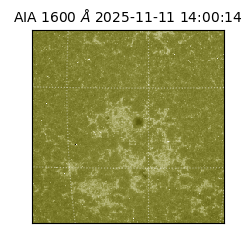 saia - 2025-11-11T14:00:14.117000