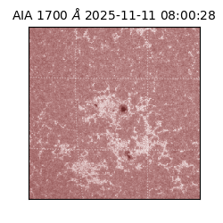 saia - 2025-11-11T08:00:28.718000