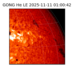 gong - 2025-11-11T01:00:42