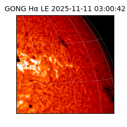 gong - 2025-11-11T03:00:42