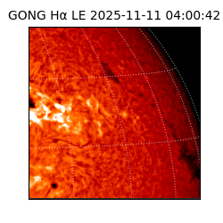 gong - 2025-11-11T04:00:42