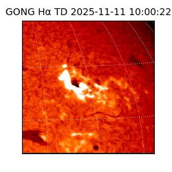 gong - 2025-11-11T10:00:22