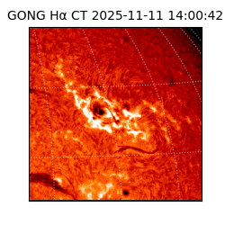gong - 2025-11-11T14:00:42