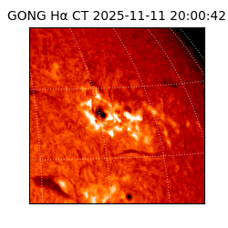 gong - 2025-11-11T20:00:42