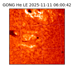 gong - 2025-11-11T06:00:42