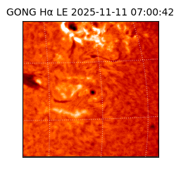 gong - 2025-11-11T07:00:42