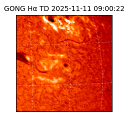 gong - 2025-11-11T09:00:22