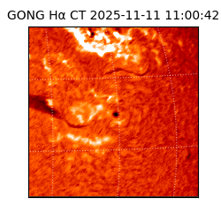 gong - 2025-11-11T11:00:42