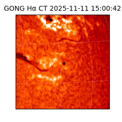 gong - 2025-11-11T15:00:42