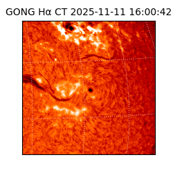 gong - 2025-11-11T16:00:42