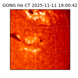 gong - 2025-11-11T19:00:42